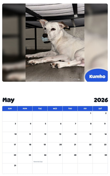 2026 - 2027 Kumho - Pawidols Pet Calendar