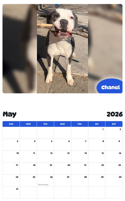 2026 - 2027 Chanel - Pawidols Pet Calendar