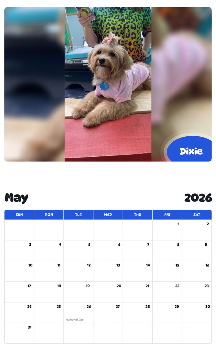 2026 - 2027 Dixie - Pawidols Pet Calendar