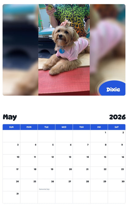 2026 - 2027 Dixie - Pawidols Pet Calendar