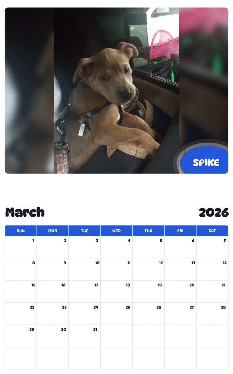 November 2025 - October 2026 SPIKE - Pawidols Pet Calendar