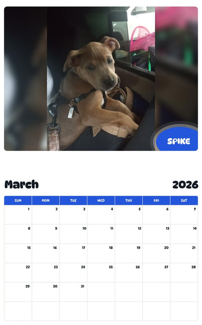 November 2025 - October 2026 SPIKE - Pawidols Pet Calendar
