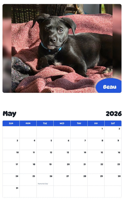 2026 - 2027 Beau - Pawidols Pet Calendar