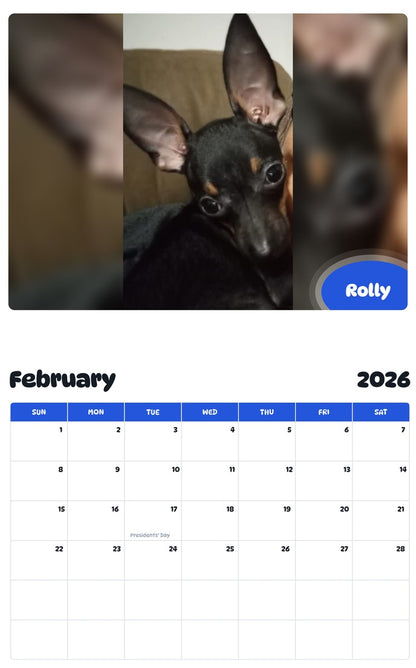 November 2025 - October 2026 Rolly - Pawidols Pet Calendar
