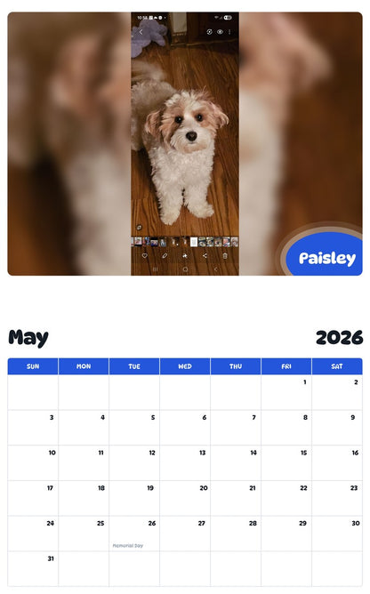 2026 - 2027 Paisley - Pawidols Pet Calendar