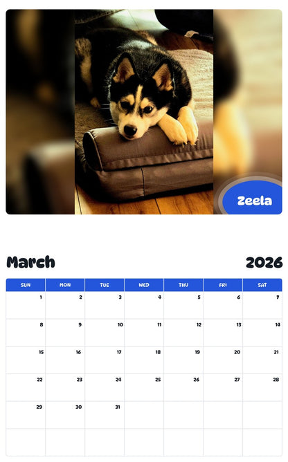 November 2025 - October 2026 Zeela - Pawidols Pet Calendar