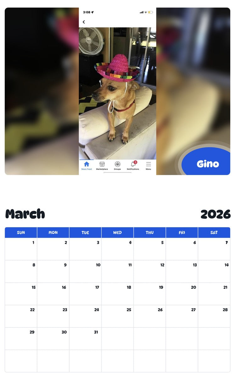 November 2025 - October 2026 Gino - Pawidols Pet Calendar
