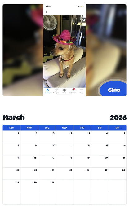 November 2025 - October 2026 Gino - Pawidols Pet Calendar