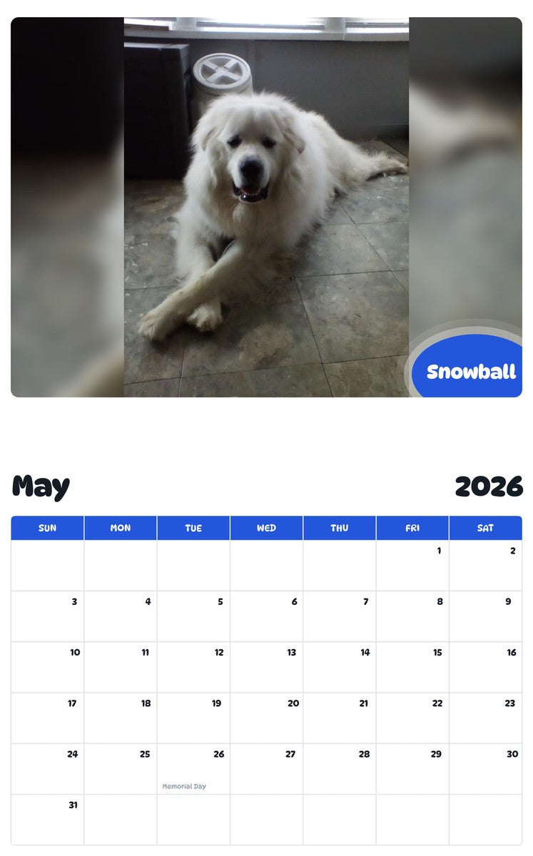 2026 - 2027 Snowball - Pawidols Pet Calendar