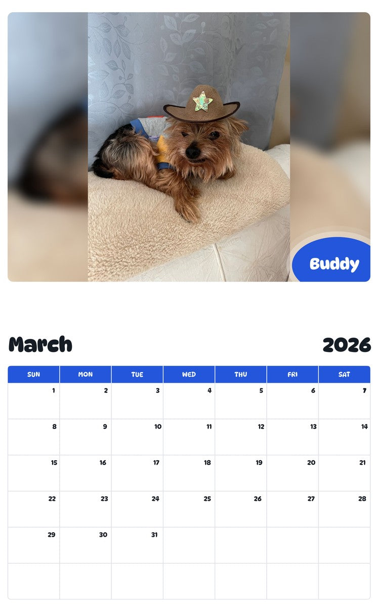 November 2025 - October 2026 Buddy - Pawidols Pet Calendar