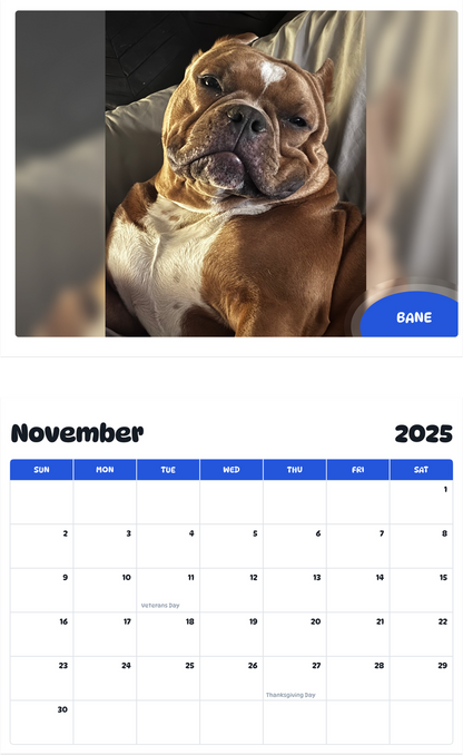 July 2025 - June 2026 Bane - Pawidols Pet Calendar