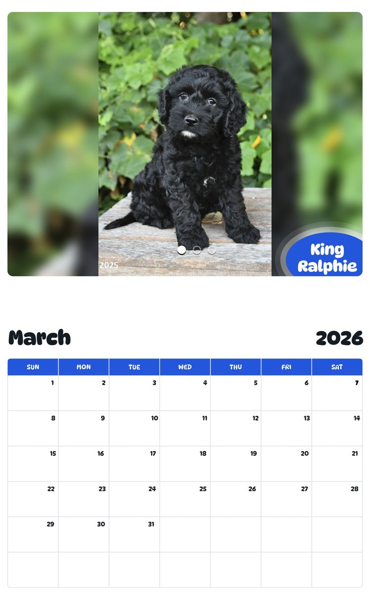 November 2025 - October 2026 King Ralphie - Pawidols Pet Calendar