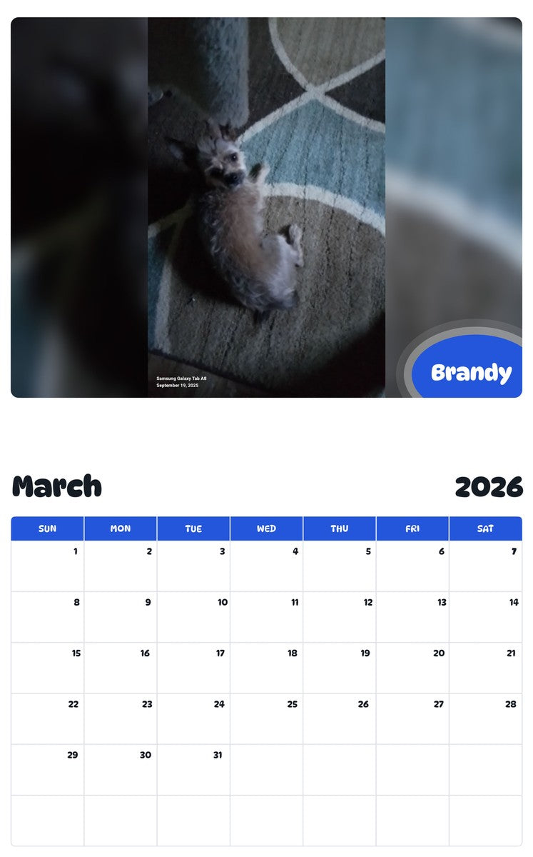 November 2025 - October 2026 Brandy - Pawidols Pet Calendar