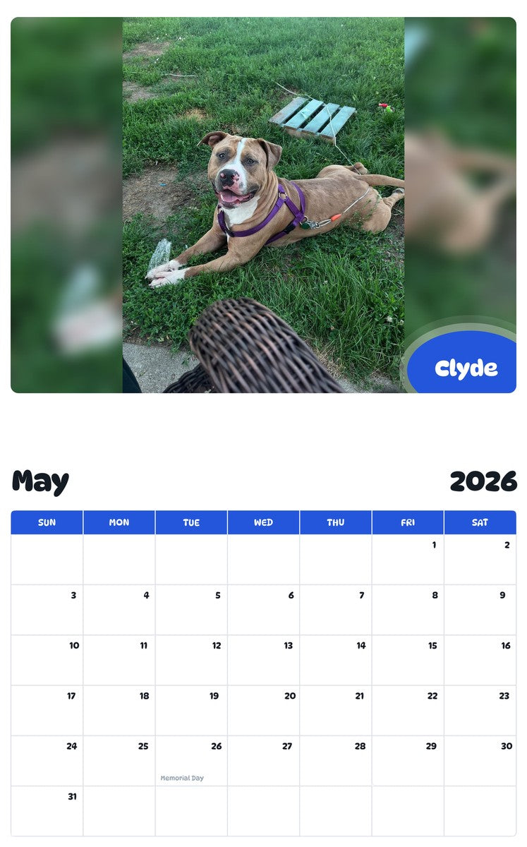 2026 - 2027 Clyde - Pawidols Pet Calendar