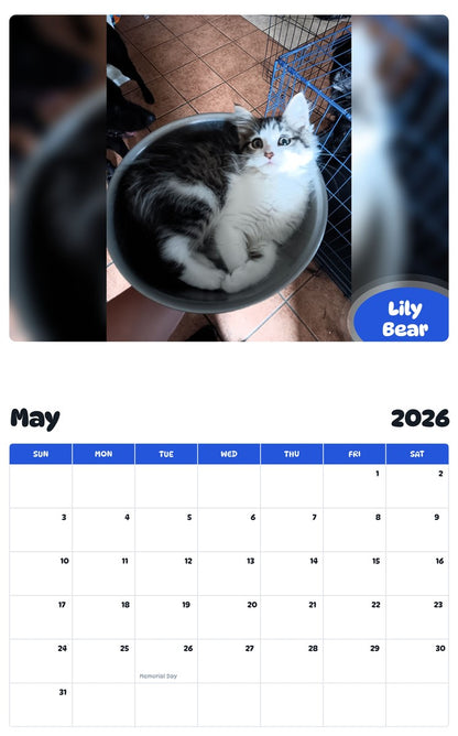 2026 - 2027 Lily Bear - Pawidols Pet Calendar