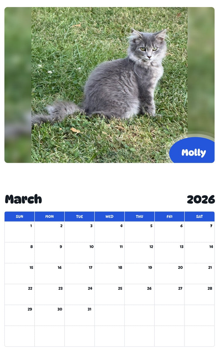 November 2025 - October 2026 Molly - Pawidols Pet Calendar