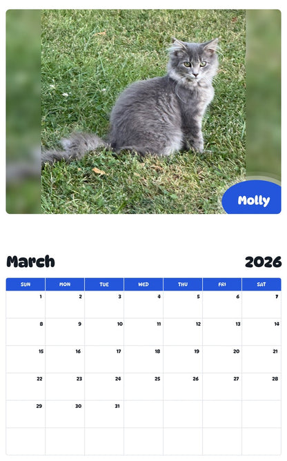 November 2025 - October 2026 Molly - Pawidols Pet Calendar