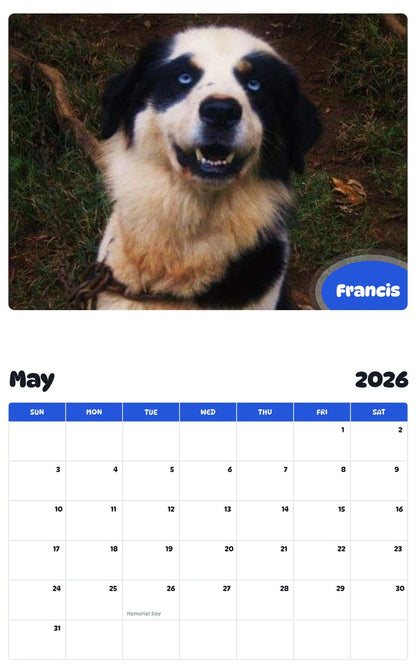 2026 - 2027 Francis - Pawidols Pet Calendar