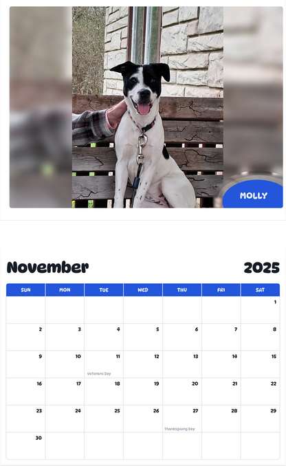 July 2025 - June 2026 Molly - Pawidols Pet Calendar