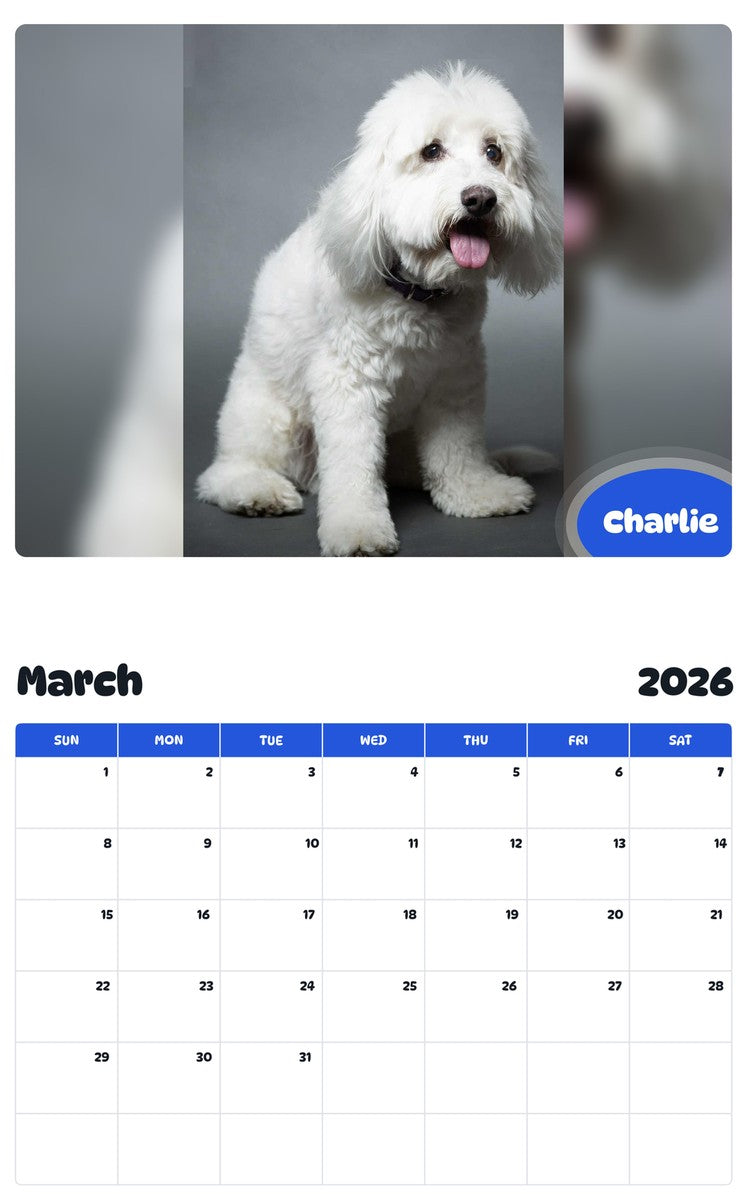 November 2025 - October 2026 Charlie - Pawidols Pet Calendar