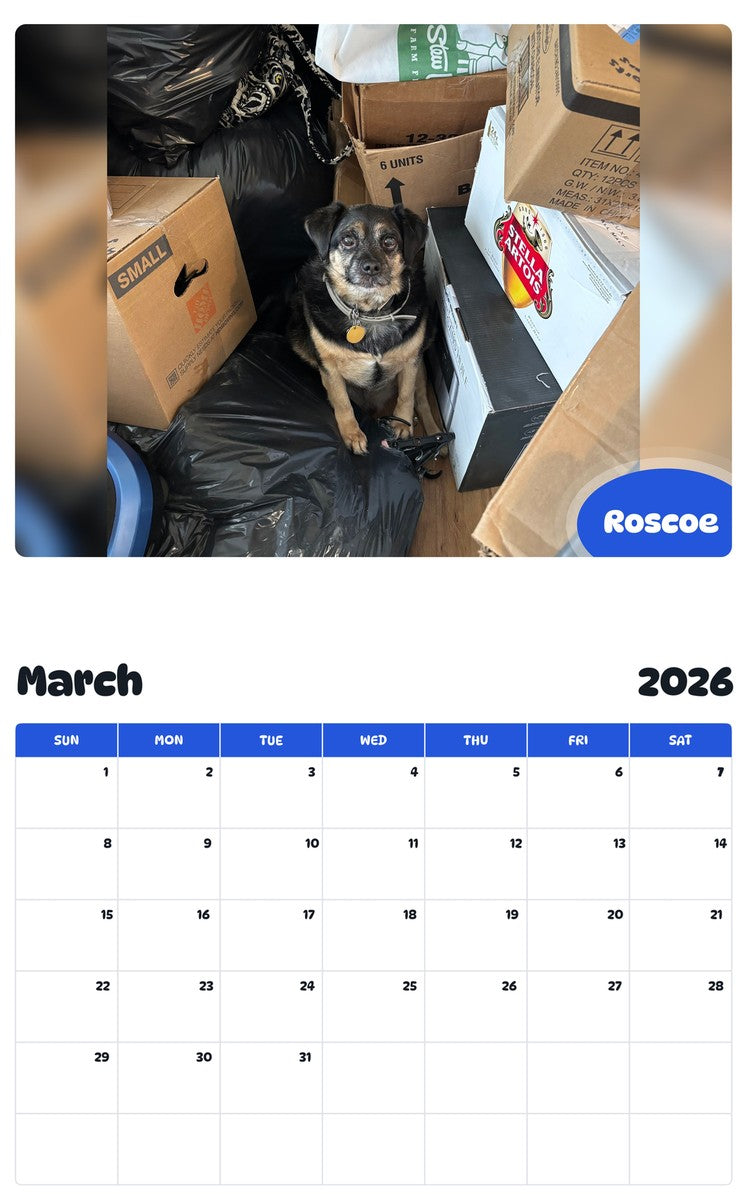 November 2025 - October 2026 Roscoe - Pawidols Pet Calendar