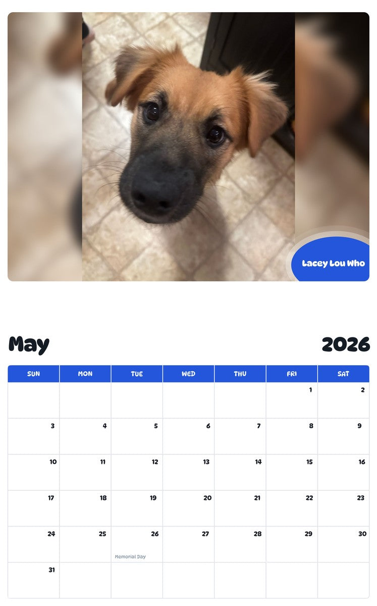 2026 - 2027 Lacey Lou Who - Pawidols Pet Calendar