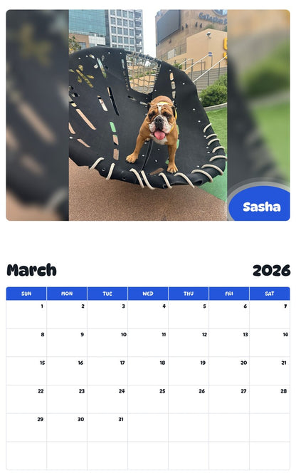 November 2025 - October 2026 Sasha - Pawidols Pet Calendar