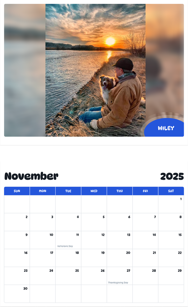 July 2025 - June 2026 Wiley - Pawidols Pet Calendar