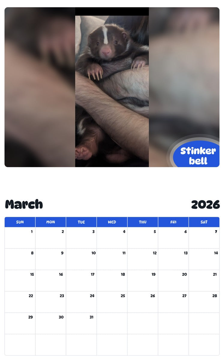 November 2025 - October 2026 Stinker bell - Pawidols Pet Calendar