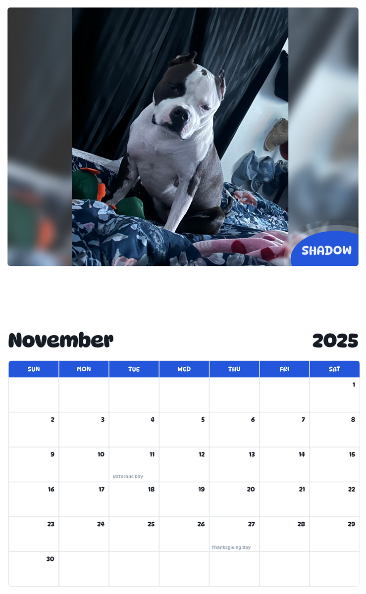 July 2025 - June 2026 Shadow - Pawidols Pet Calendar