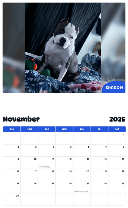 July 2025 - June 2026 Shadow - Pawidols Pet Calendar