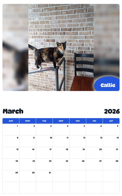 November 2025 - October 2026 Callie - Pawidols Pet Calendar