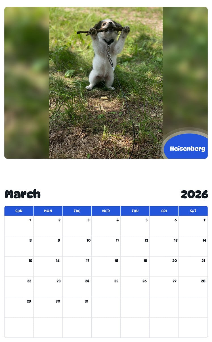 November 2025 - October 2026 Heisenberg - Pawidols Pet Calendar