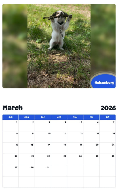 November 2025 - October 2026 Heisenberg - Pawidols Pet Calendar