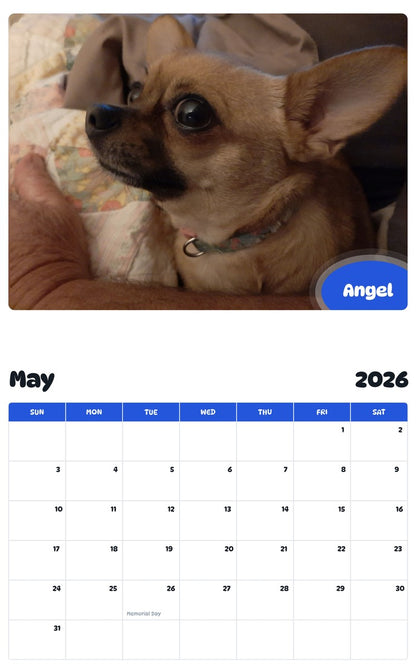 2026 - 2027 Angel - Pawidols Pet Calendar