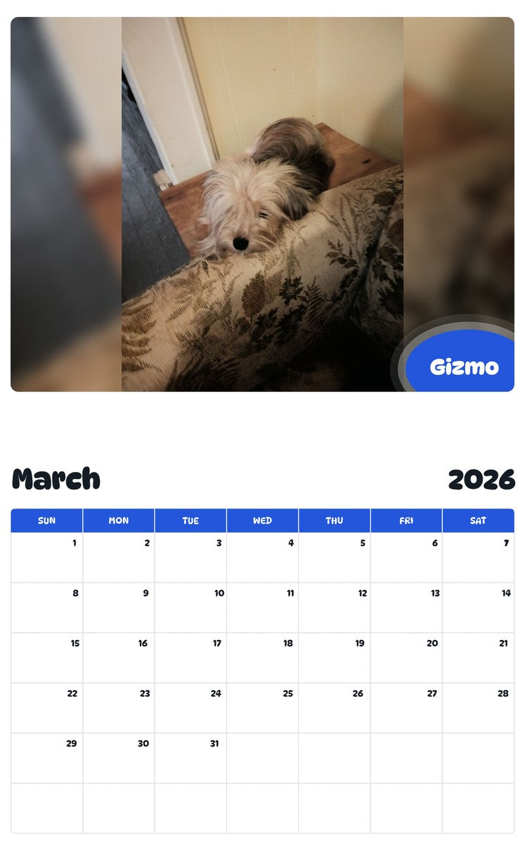 November 2025 - October 2026 Gizmo - Pawidols Pet Calendar