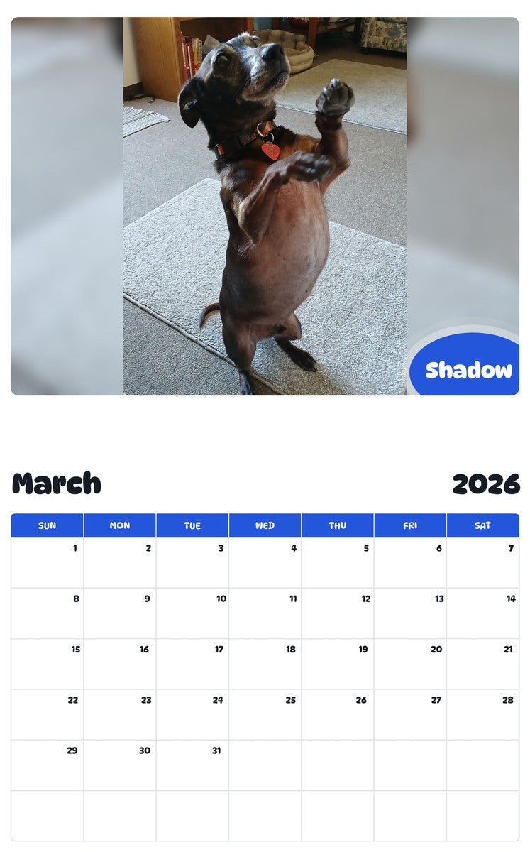 November 2025 - October 2026 Shadow - Pawidols Pet Calendar