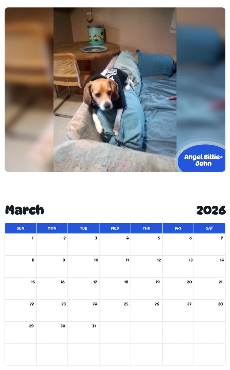 November 2025 - October 2026 Angel Billie-John - Pawidols Pet Calendar