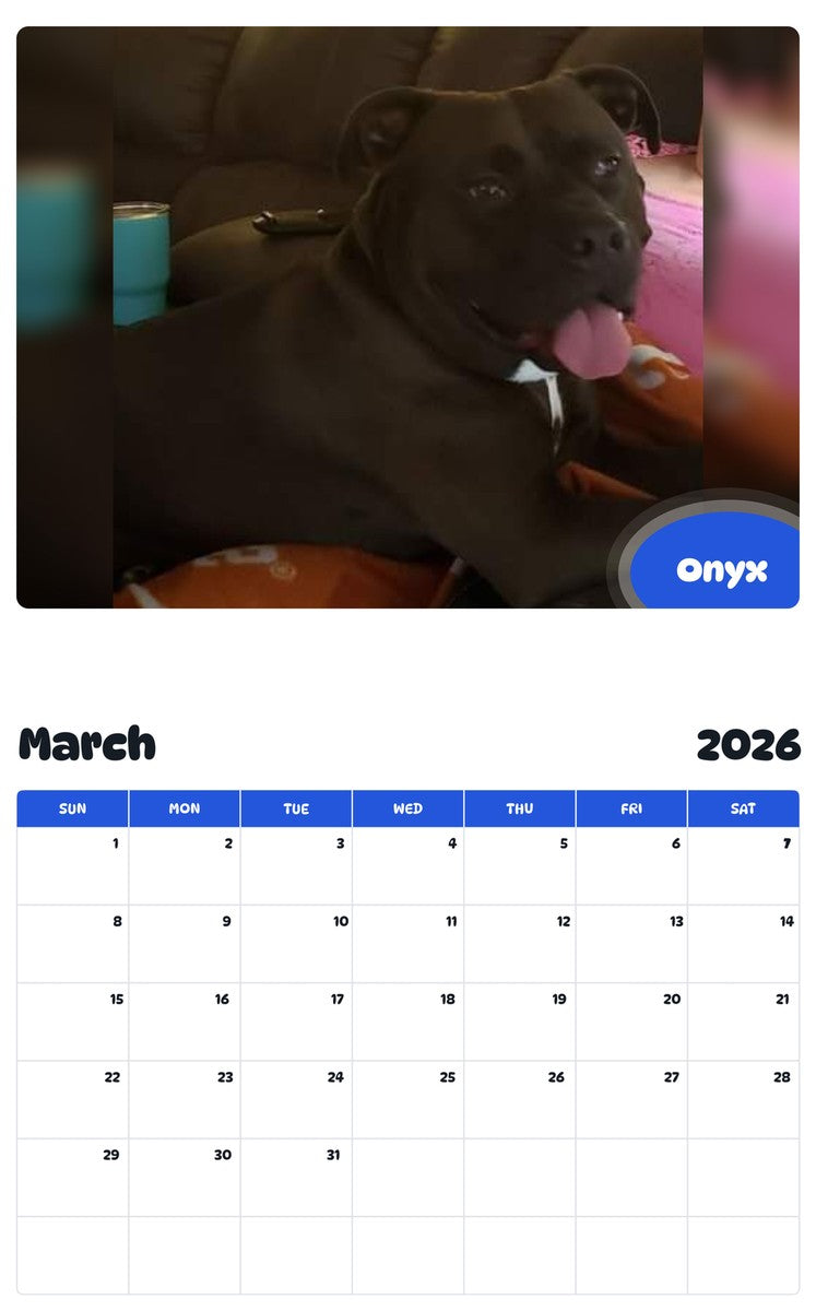 November 2025 - October 2026 Onyx - Pawidols Pet Calendar