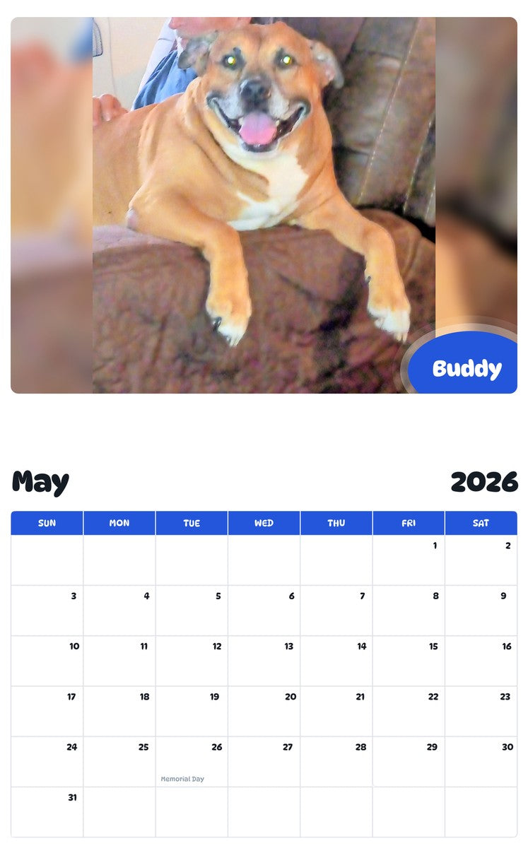 2026 - 2027 Buddy - Pawidols Pet Calendar