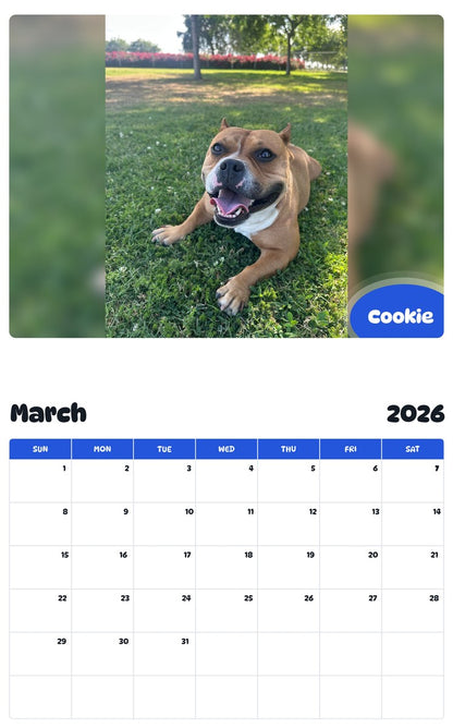 November 2025 - October 2026 Cookie - Pawidols Pet Calendar