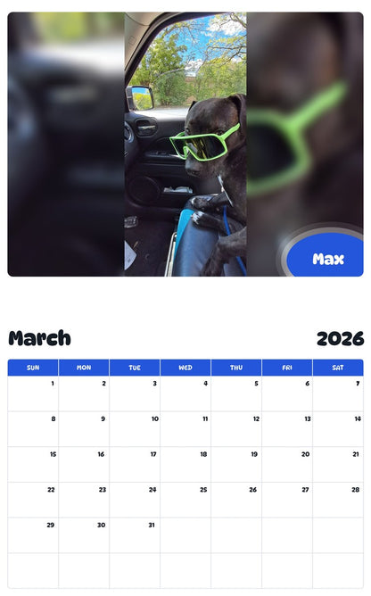 November 2025 - October 2026 Max - Pawidols Pet Calendar