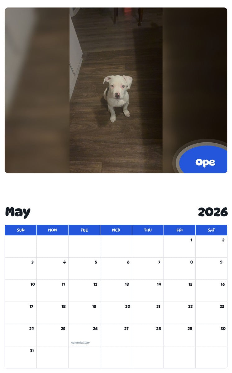 2026 - 2027 Ope - Pawidols Pet Calendar