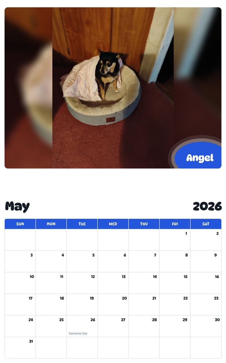 2026 - 2027 Angel - Pawidols Pet Calendar