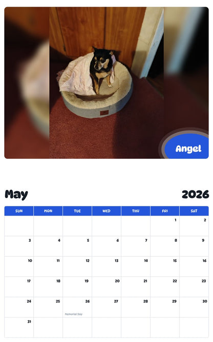 2026 - 2027 Angel - Pawidols Pet Calendar