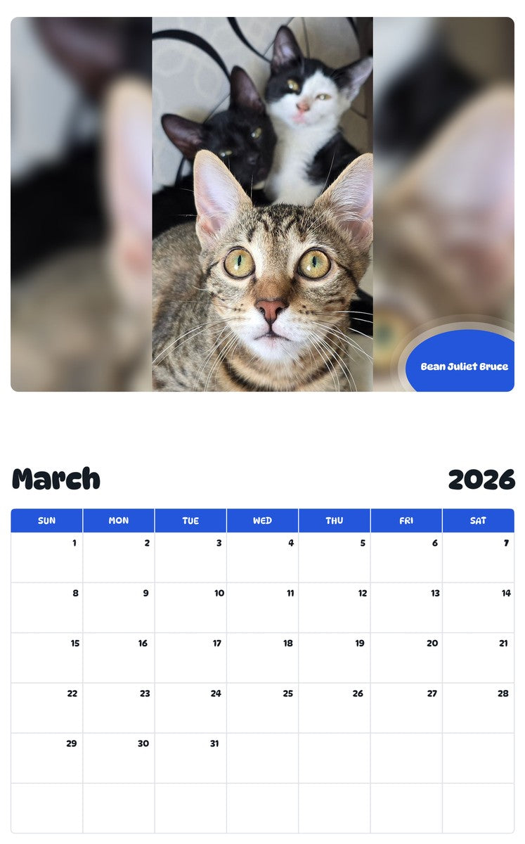 November 2025 - October 2026 Bean Juliet Bruce - Pawidols Pet Calendar