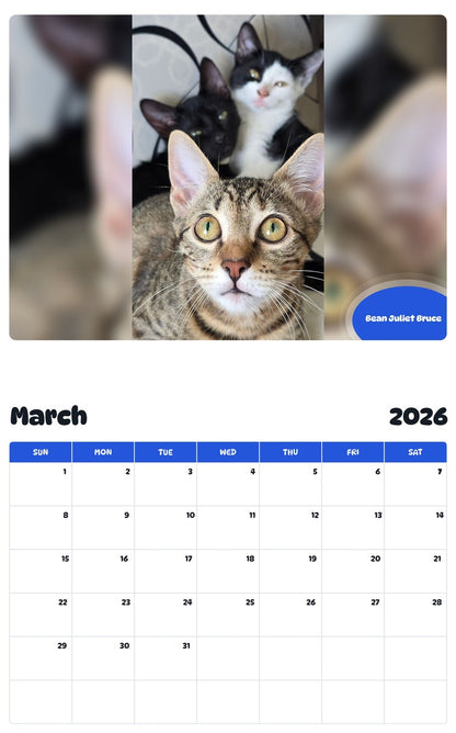 November 2025 - October 2026 Bean Juliet Bruce - Pawidols Pet Calendar