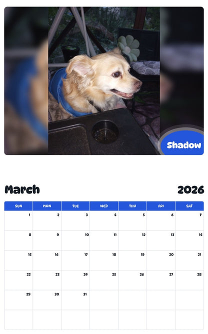 November 2025 - October 2026 Shadow - Pawidols Pet Calendar