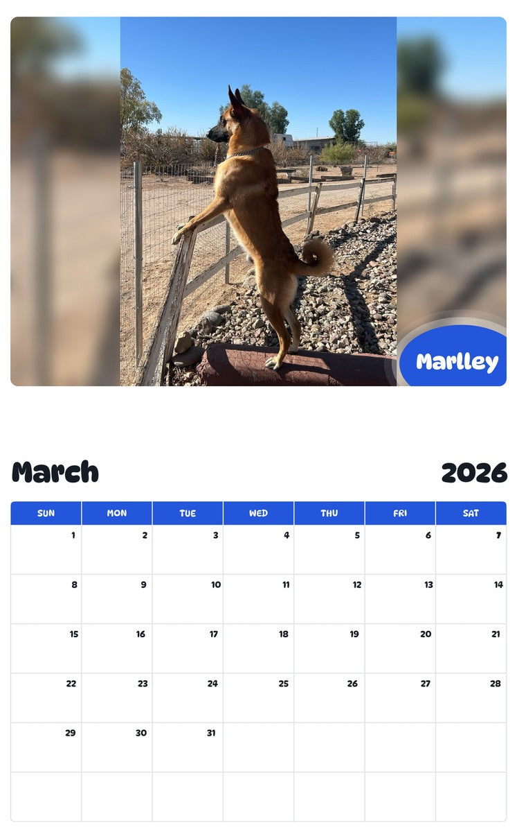 November 2025 - October 2026 Marlley - Pawidols Pet Calendar