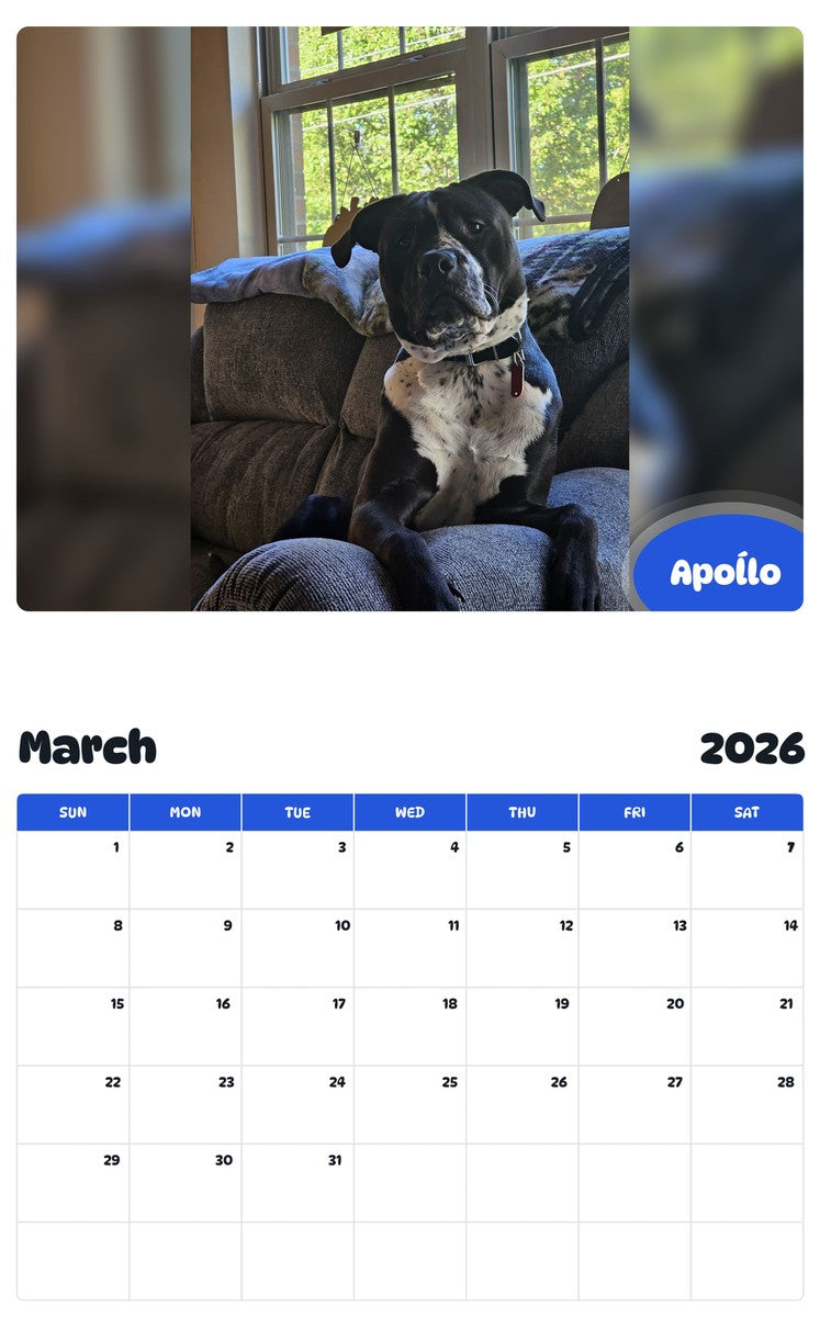 November 2025 - October 2026 Apoĺlo - Pawidols Pet Calendar
